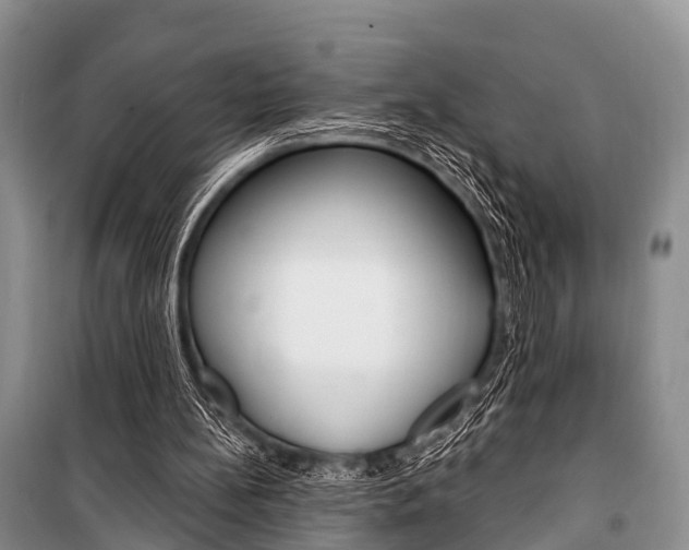 X0000101210148200806270902