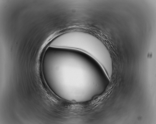X0000101210150200806270902