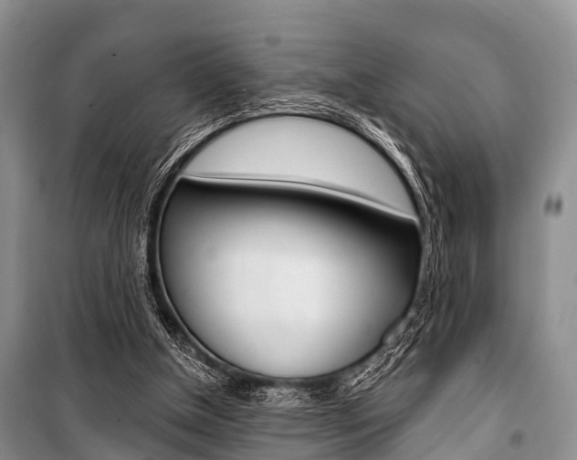 X0000101210154200806270902