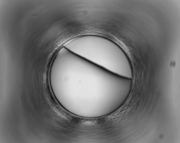 X0000101210155200806270902