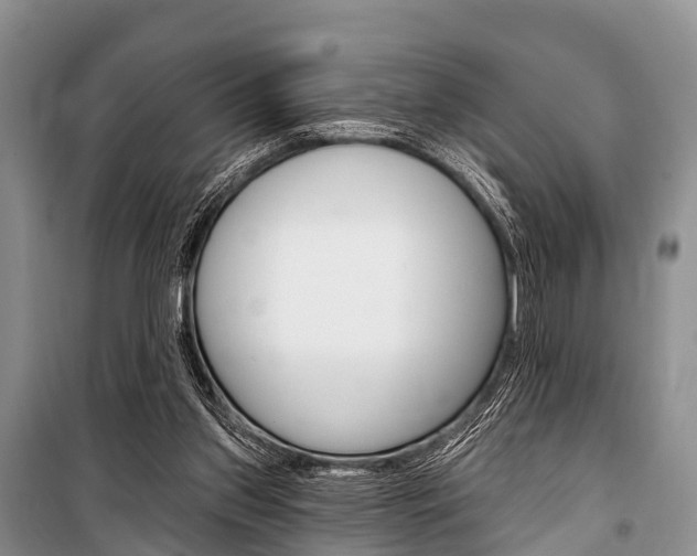 X0000101210157200806270902