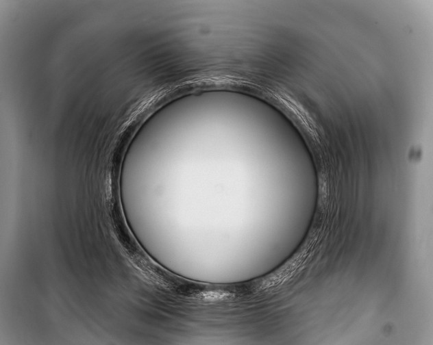 X0000101210158200806270902