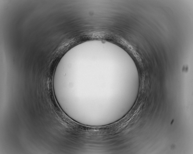 X0000101210161200806270902