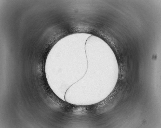 X0000101210162200806270902