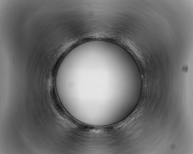 X0000101210164200806270902