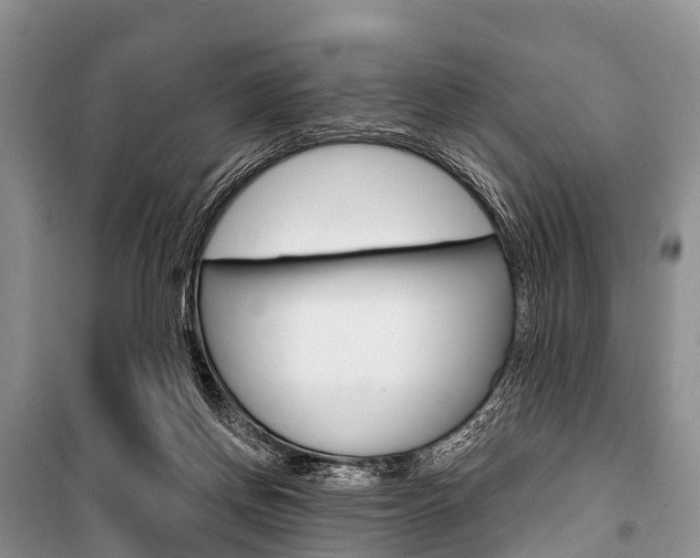 X0000101210166200806270902