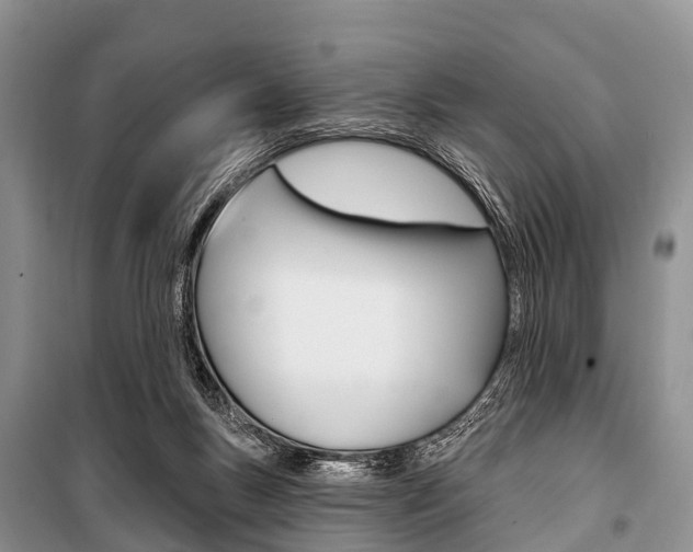X0000101210167200806270902