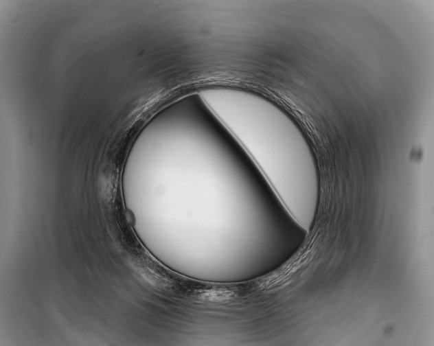 X0000101210168200806270902