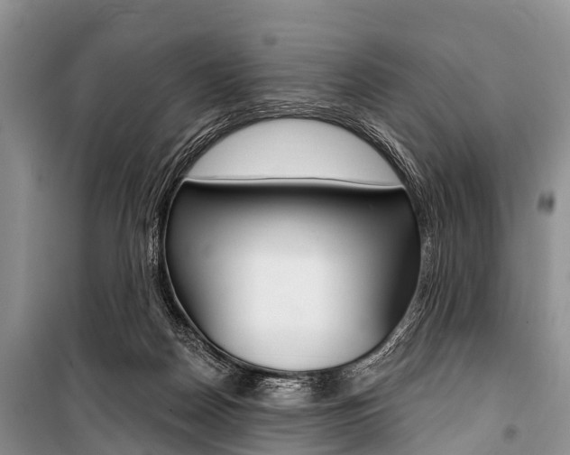 X0000101210170200806270902
