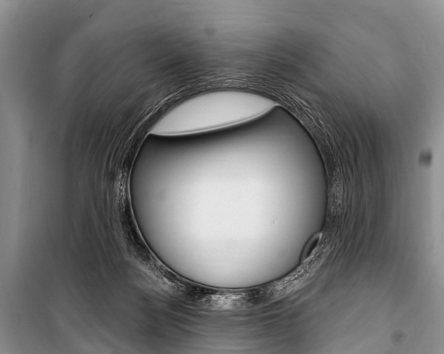X0000101210172200806270902