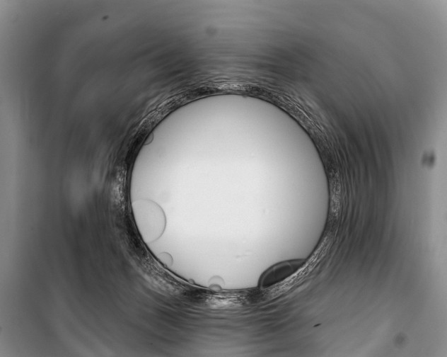 X0000101210175200806270902
