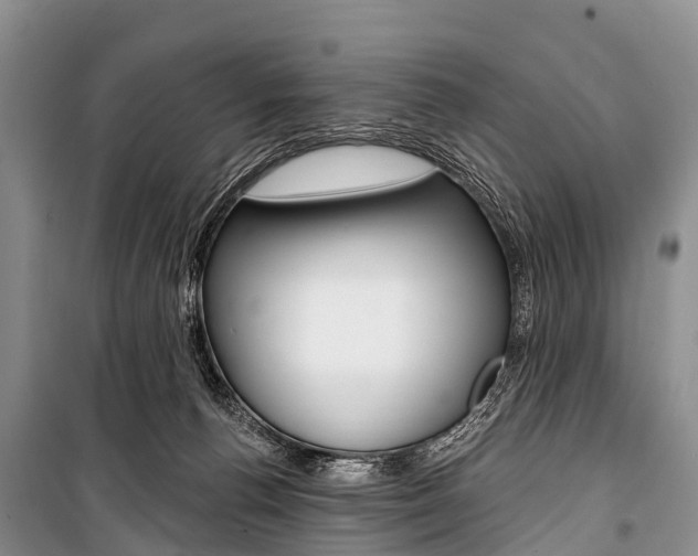 X0000101210176200806270902