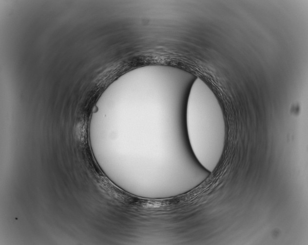 X0000101210177200806270902