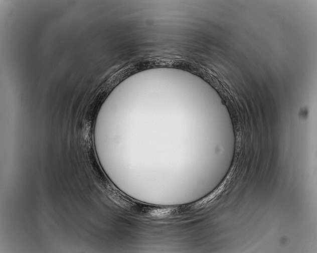 X0000101210178200806270902