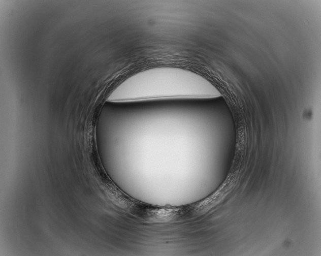 X0000101210184200806270902