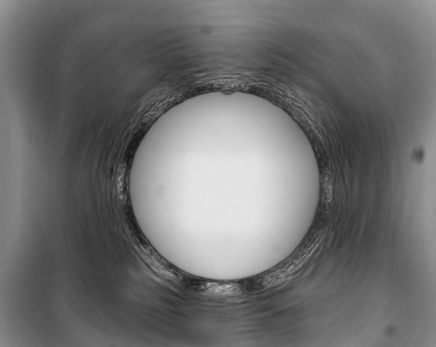 X0000101210185200806270902