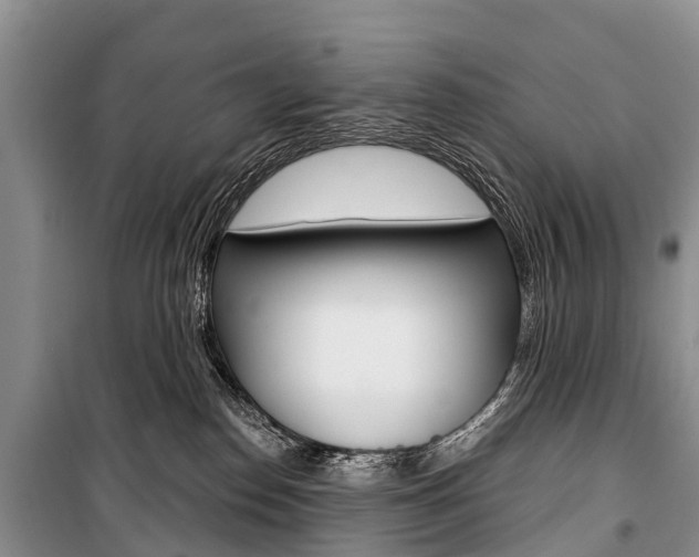 X0000101210186200806270902