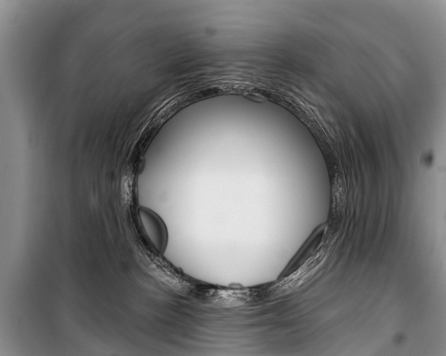 X0000101210188200806270902