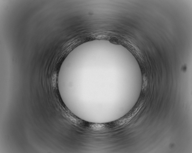 X0000101210189200806270902