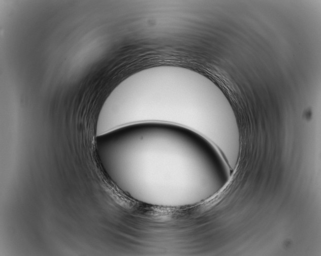X0000101210190200806270902