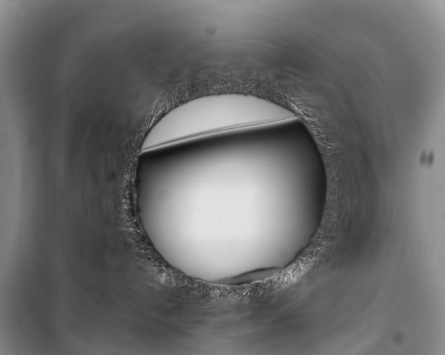 X0000101210192200806270902