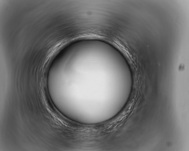 X0000101210193200806270902