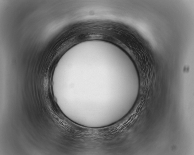 X0000101210194200806270902