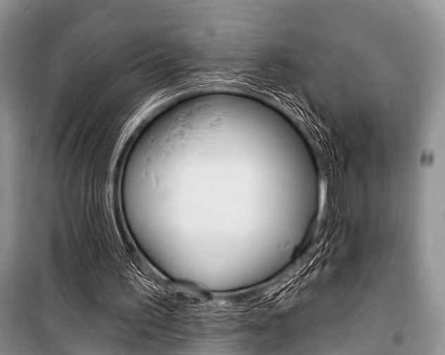 X0000101210195200806270902