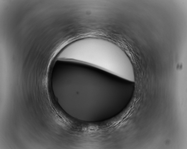 X0000101210196200806270902