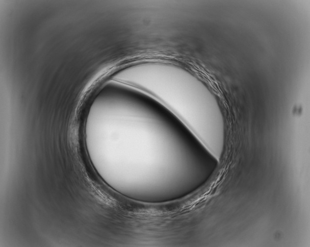 X0000101210197200806270902