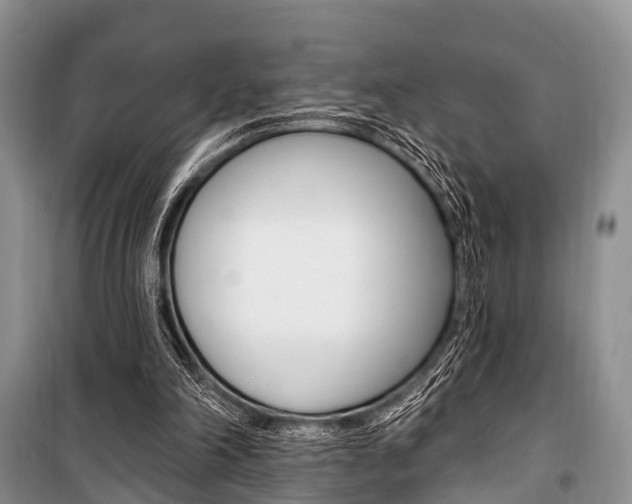 X0000101210198200806270902