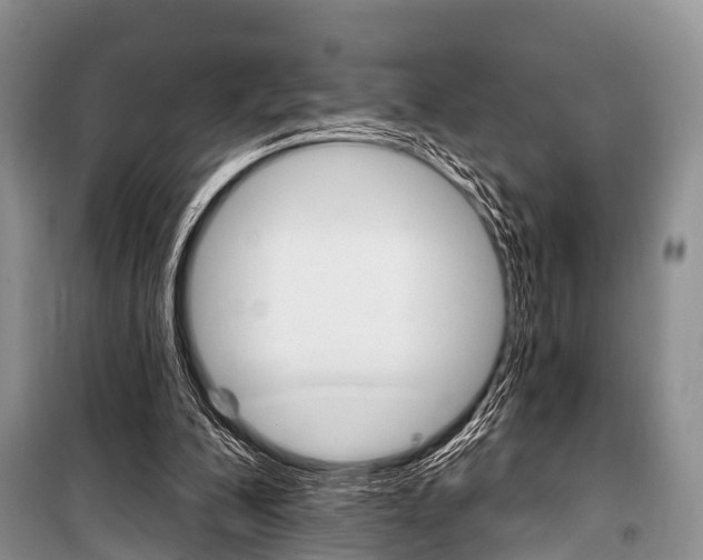 X0000101210200200806270902