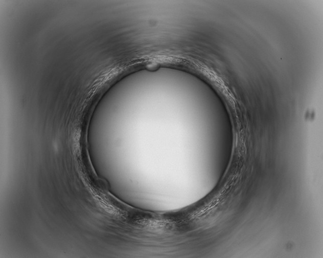 X0000101210201200806270902