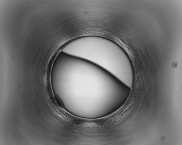 X0000101210203200806270902