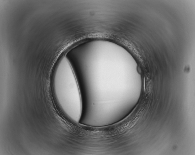 X0000101210204200806270901