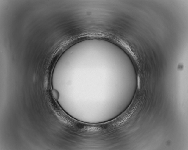 X0000101210205200806270901