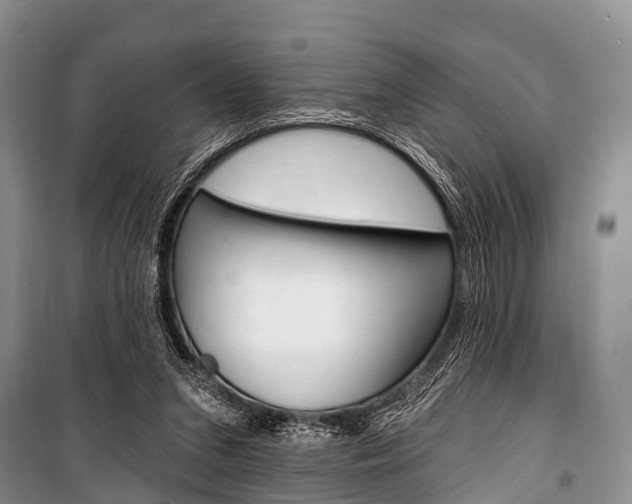 X0000101210207200806270901