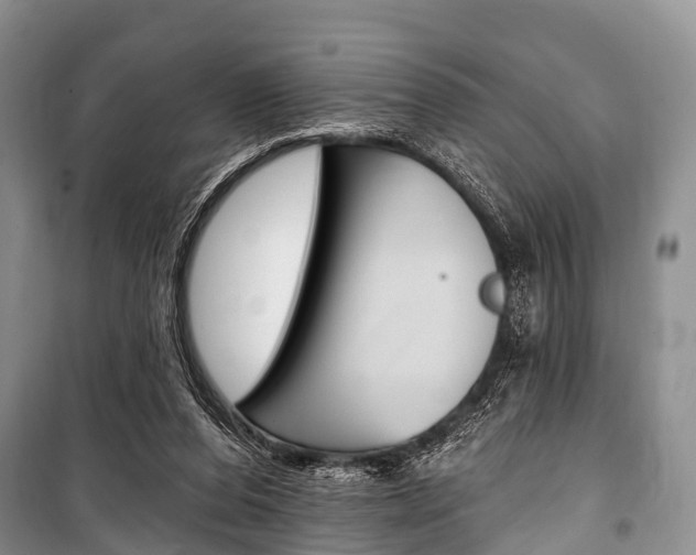 X0000101210208200806270901