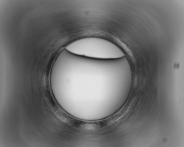 X0000101210209200806270901
