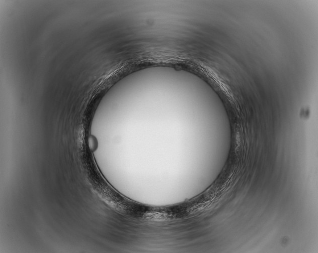 X0000101210211200806270901