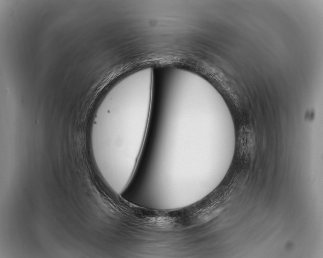 X0000101210212200806270901