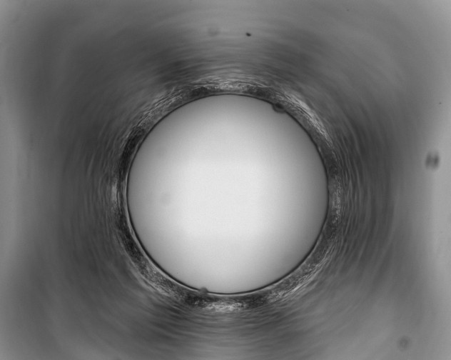 X0000101210213200806270901