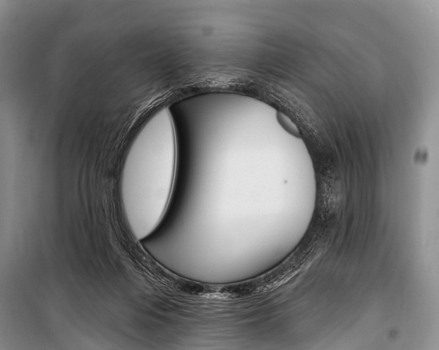 X0000101210216200806270901