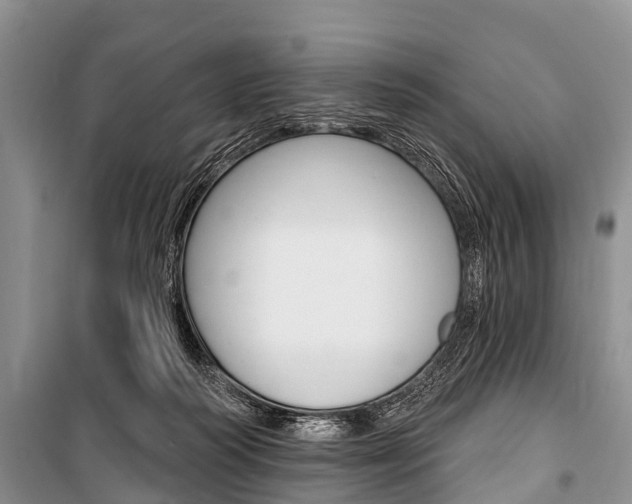 X0000101210218200806270901