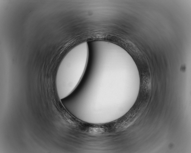 X0000101210220200806270901