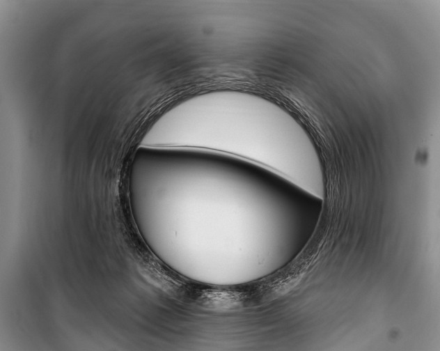 X0000101210221200806270901