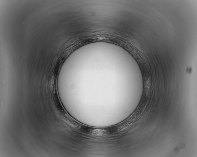 X0000101210222200806270901