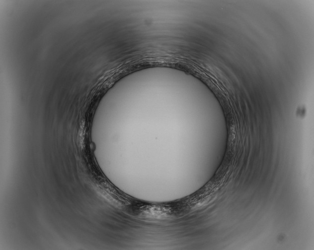 X0000101210223200806270901