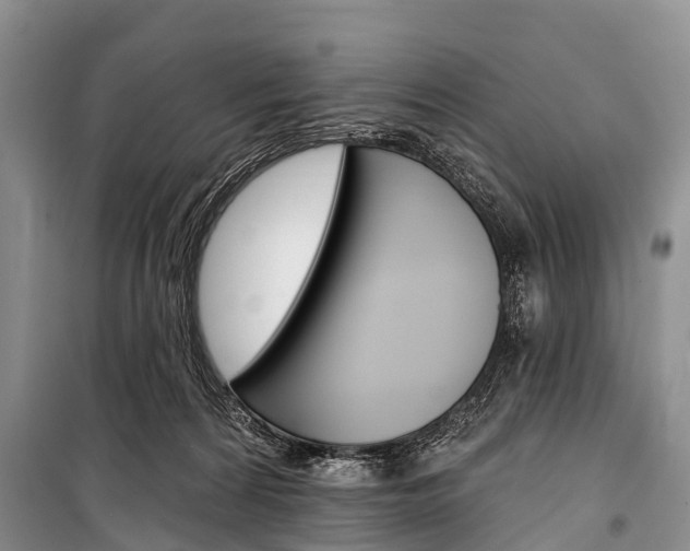 X0000101210224200806270901