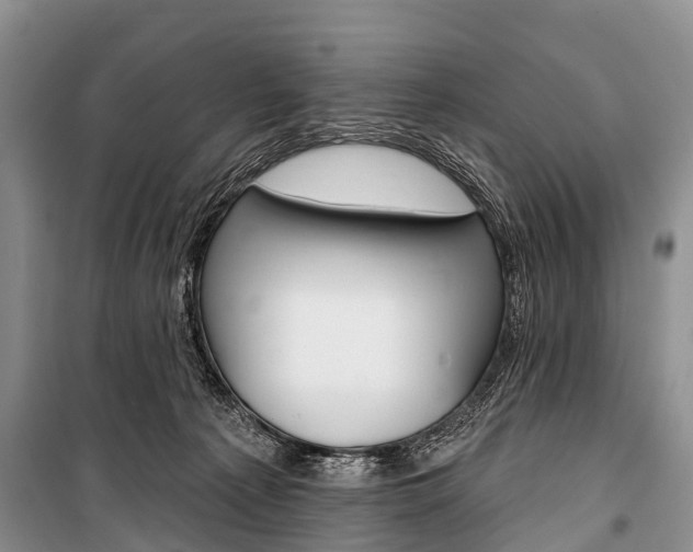 X0000101210225200806270901